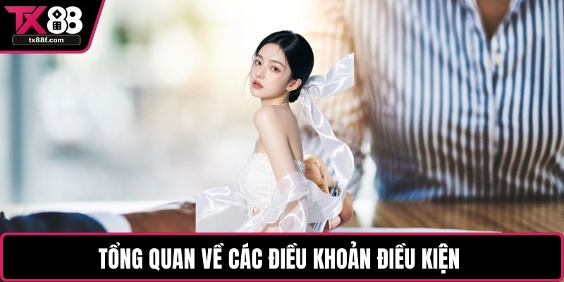 Tổng quan về các điều khoản điều kiện